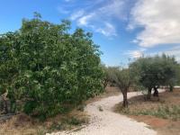 Il Casale Di Brunella - B&B Monopoli