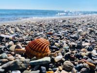 White Sea View Apartment Velipoje - Bed and Breakfast Velipojë