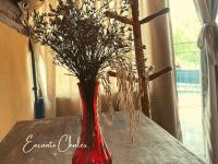Encanto Chalés – 150m da Praia Grande – Penha – SC - B&B