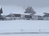 Casa dei sogni - B&B Valdaora