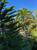 Appartamento con Vista Giardino