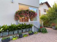 Appartement Le Jardin - B&B Lingolsheim
