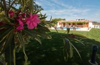 Casa da Ladeira Branca - B&B