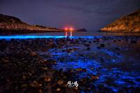 花漾 森山舍 - B&B Buqian