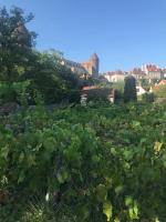 B&B Semur-en-Auxois - Grande Maison à Semur en plein coeur Historique - Bed and Breakfast Semur-en-Auxois