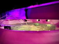 Family modern 3 Bed Hot Tub House in Blackpool - Bed and Breakfast
