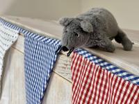 Lönnegarden - Backhus - Chambres d’hôtes Kellenhusen