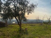 Meti Guest House - B&B Croia