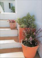 Cozy apartment with private courtyard - B&B Barcarena