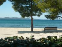 Apartment Dora - Bed and Breakfast Zadar