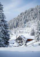 Pensiunea Poienita Ursului - B&B Fundata