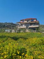 B&B Berat - Guest House Ilir - Bed and Breakfast Berat