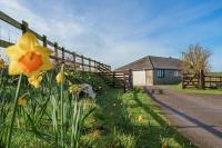 Venn Down Lakes - B&B Boscastle