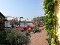 Chambre d'hôtes de la tulipe - B&B Mittelbergheim