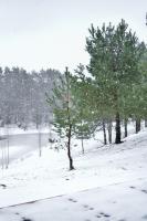 Haus mit 1 Schlafzimmer