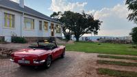 Fishbird Art Deco Villa - B&B
