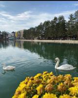 Bellevue Apartman na jezeru u samom centru Zlatibora ,terasa sa pogledom - Ferienwohnung Zlatibor