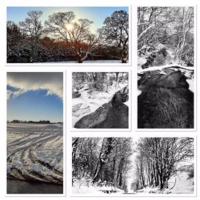 Haus mit 1 Schlafzimmer