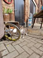 Familienhof Gottschalk - B&B Beelitz