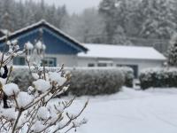 Ferienhaus Nadine 2023 komplett saniert - Chambres d'hôtes Bad Brambach