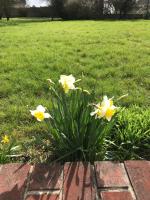 Après la pluie - B&B Campigneulles-les-Petites