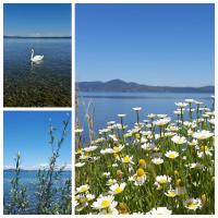 La casa nel vicolo - Chambres d’hôtes Bracciano