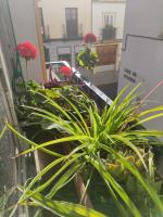 Vive Triana - Chambres d’hôtes Séville