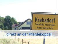 STRANDLIEBE 100 qm Gartenwohnung (eingezäunt), 15 Gehminuten zum Strand - Ferienwohnung Neukirchen