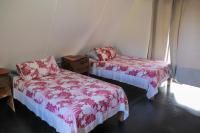 Single Bed in Mixed Dormitory Room