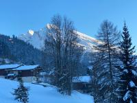 Les bouquetins - B&B La Clusaz