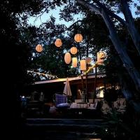 The Secret Figtree Cottage - B&B