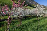 Camera Matrimoniale con Balcone