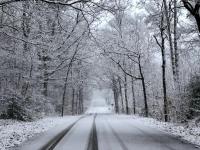 Apartment with Pool View 