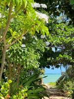 Casa de Praia em Japaratinga-AL - B&B