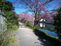 Ma maison au bord de l'eau - B&B Villefranche-de-Rouergue
