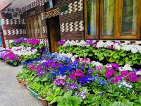 B&B Darjeeling - Zambala Homestay - Bed and Breakfast Darjeeling