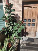 Casa vacanza Giovanna - Chambres d’hôtes Ortona