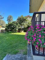 Appartamento Albatros - B&B Ribolla