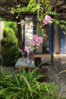 Casa La Raquelita - B&B Navarro