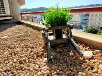 Apartament Géminis, 5 min playa, parking gratis - Chambres d’hôtes Tossa de Mar