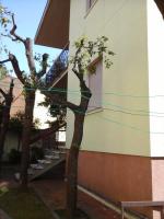 Appartamenti Torre Medicea - Bed and Breakfast Castiglioncello