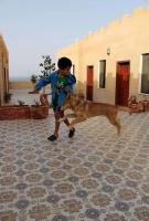 Arab Divers Dive Center and Bed & Breakfast - Ferienwohnung Aqaba