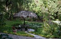 Cocuyo Glamping - B&B