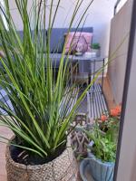 Zoya del mar - B&B Pula