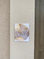 Nook. The Design Apartment - B&B Târgu Mureş