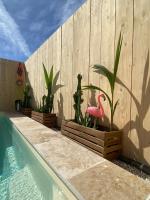 Mas des Oliviers, maison avec piscine privative et chauffée, 3 animaux acceptés LOCAMARGUE - B&B Maguelonne