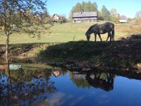 Cudne Manowce - B&B