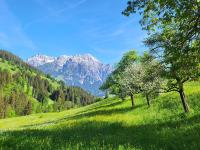 Almliesl LEOG-685 - B&B Leogang
