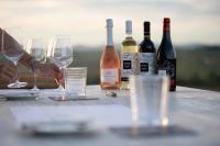 Appartamento con 1 Camera da Letto e Sauna