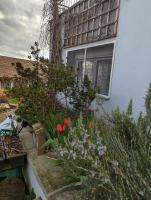 Joli gîte proche Strasbourg - B&B